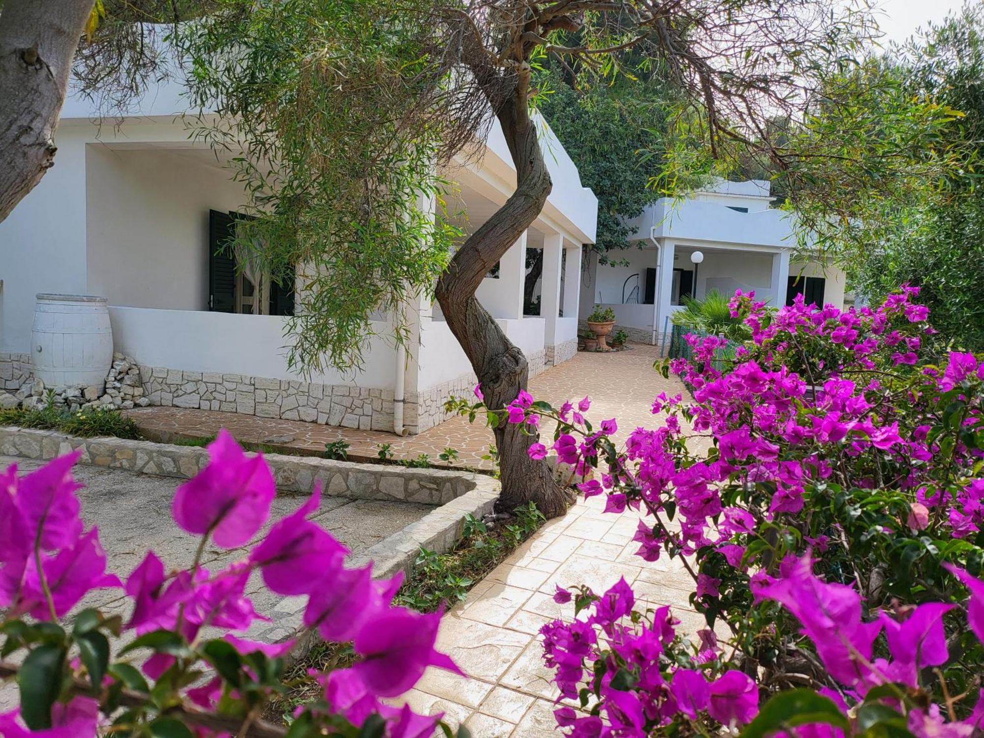 Aparthotel Dolce Far Niente Vieste